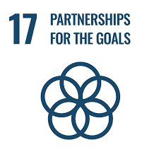 Partnerships Icon